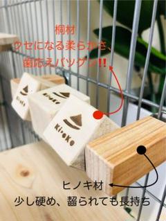【単品】チンチラ デグー　おもちゃ　くるくるキューブのサムネイル