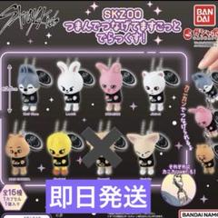 2025年最新】SKZOO つまんでつなげてますこっと でらっくす
