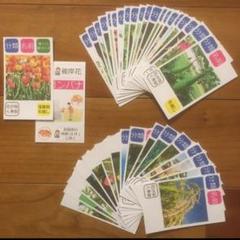 植物分類カード　暗記　中学受験　高校受験　夏休みに　スキマ時間に