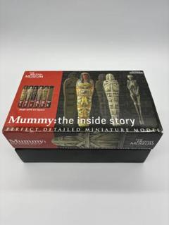 古代エジプト　ミイラ　カポノス壺　箱付き　超貴重　Q91-2 CTスキャンされたミイラを国立科学博物館で見る。特別展「大英