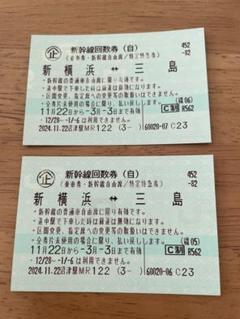 西武鉄道 期限切れ 常備普通回数券 3駅 + 硬券特急券