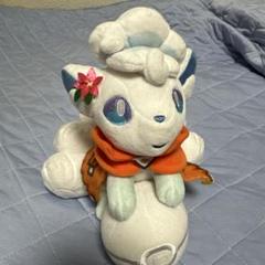 kさま専用　ポケモン　アローラ　ロコン　雪まつり　ぬいぐるみ 大小セット Amazon.co.jp: ポケモンセンターオリジナル ぬいぐるみ 雪まつり