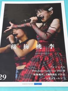 アンジュルム　ピンポス　松本わかな