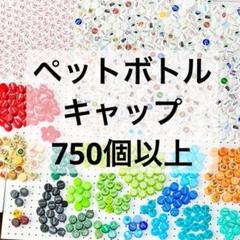 ペットボトル キャップ 大量 段ボール80サイズ 色別包装 工作 小学生