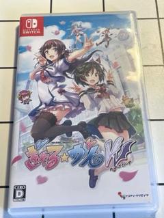 Switch ぎゃるがん だぶるぴーす