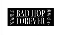 はやと　BADHOP ライブDVD  タオル(未使用)  セット GQ6t_k8aQAMSSYf.jpg