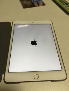 iPad mini4 本体