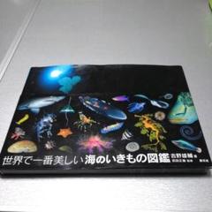 世界で一番美しい海のいきもの図鑑