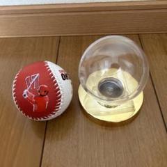 大谷 トラウト エンゼルス ボール２個セット 注文割引 大谷翔平＆マイクトラウト7月1日エンジェルス球場25000