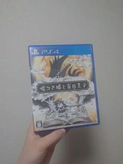PS4 嘘つき姫と盲目王子 ソフト