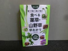 ポケット判 食べる薬草・山野草早わかり 主婦の友社編 初版