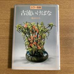 2025年最新】古流生花の人気アイテム - メルカリ