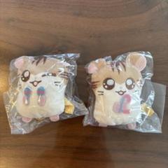 【とっとこハム太郎 かぷっこふれんず2】2種セット