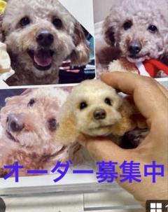オーダーブローチ募集中❣️犬ブローチ羊毛フェルト