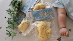 Bellini Sponge ベリーニ 海綿スポンジ 3個セット 定価1個3千円