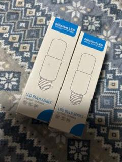 LED省エネランプ　Efficient LED ランプ　9W
