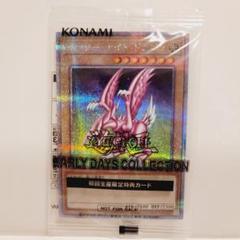 2025年最新】ホーリーナイトドラゴン 25thの人気アイテム - メルカリ
