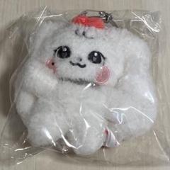 IVE ぬいぐるみ マスター ウォニョン 10cm ① IVE アイブ ウォニョン 10cm ぬいぐるみ マスター - メルカリ