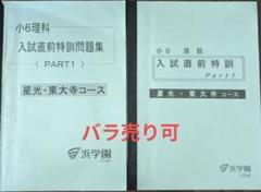 浜学園　小6　算数　理科　入試直前特訓　解答解説あり
