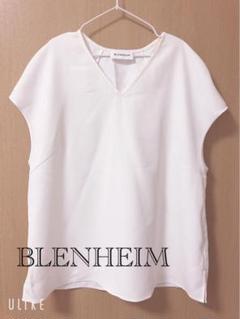 【極美品】blenheim ブレンヘイム ノースリーブ Vネックのサムネイル