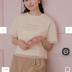 anysis シアーチュールロゴTシャツ