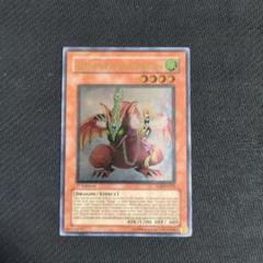 遊戯王 ハーピィズペット仔竜 レリーフ 韓国版 1st 遊戯王 英語版 ハーピィズペット仔竜 1st レリーフ - メルカリ