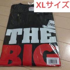 2025年最新】MR.BIG tシャツの人気アイテム - メルカリ