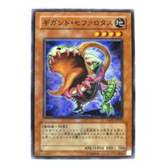 ☆ ボックス ☆英語版 Crossroads of Chaos クロスローズ・オブ・カオス 1st Edition