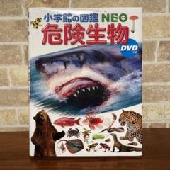 小学館の図鑑NEO 危険生物 DVD付き - メルカリ