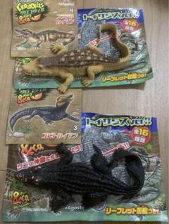 クロコダイル&co. アンドコ　ブラジルカイマン　コビトカイマン　トイザらス限定