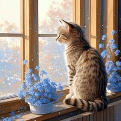 パネル生地　新柄　猫8柄　即購入⭕️