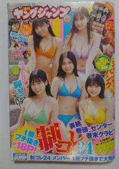 抽プレ当選品　非売品一ノ瀬こひな 直筆サイン入りチェキ　制コレ#バババンビ 一ノ瀬こひな サイン入り写真パネル【FUN'S PROJECT MALL】