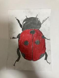 m52331734349_1.jpg?1695558801