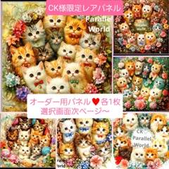 クロム様❤️オーダーページ②ジェットコースター猫 フラット