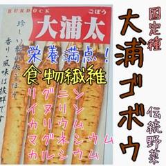大浦牛蒡 固定種 伝統野菜 家庭菜園 野菜の種 種子 種 根菜