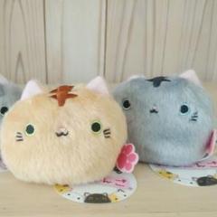 ねこだんご 2匹