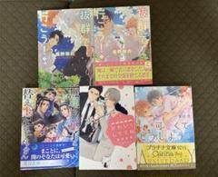 BL小説 5冊セット - メルカリ