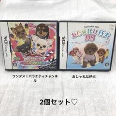 ワンタメ！バラエティチャンネル&おしゃれな仔犬DS (ニンテンドーDS)