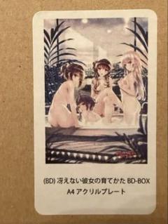 【激レア】冴えない彼女の育てかた アクリルプレート 激レア】冴えない彼女の育てかた アクリルプレート - メルカリ