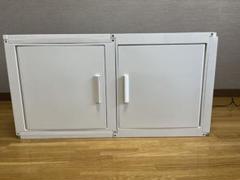冷やし虫家