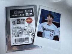 千葉ロッテ シークレットチェキ 茶谷健太 67
