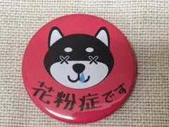 缶バッジ 花粉症 黒柴はなみず ピンク クリップピン 缶バッチ