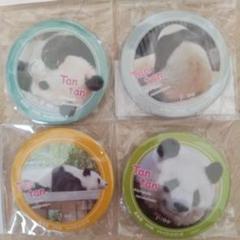 王子動物園 タンタン ブランケット 神戸新聞 on X: 