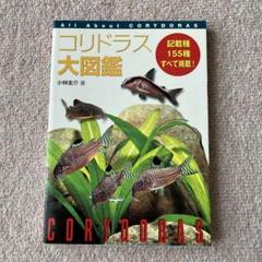 コリドラス大図鑑 - メルカリ
