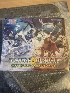 レイジングサーフ クレイバースト ナンジャモジムセット シュリンク付 未開封 ポケモンカードゲーム ナンジャモセット ジムセット スノー