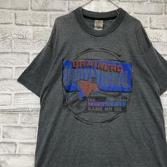 USA製90sヴィンテージTシャツ！シングルステッチ　グレー半袖古着　L717