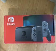 Nintendo Switch 本体 グレー ケース付き
