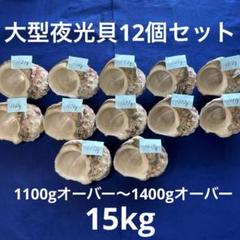 大型夜光貝　ヤコウ貝　まとめ売り　8個　約1.kg アクセサリー　ルアー 夜光貝アクセサリー/gscarving.accessories