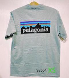 patagonia パタゴニア TシャツP-6 ロゴ レスポンシビリティー