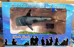 沖縄美ら海水族館 限定販売 ジンベイザメフィギュア